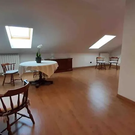 Silvia E Faby Maggiore