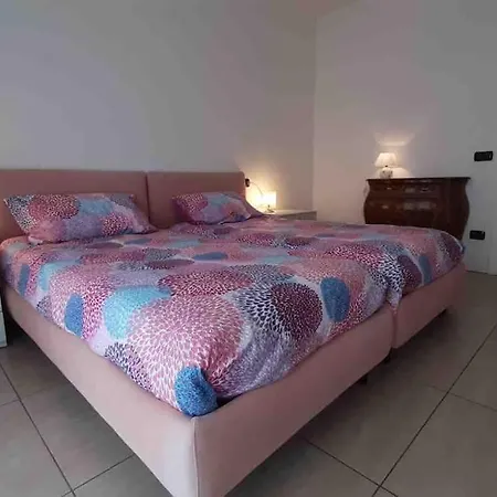 Silvia E Faby Maggiore