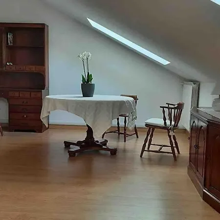 Silvia E Faby Maggiore *