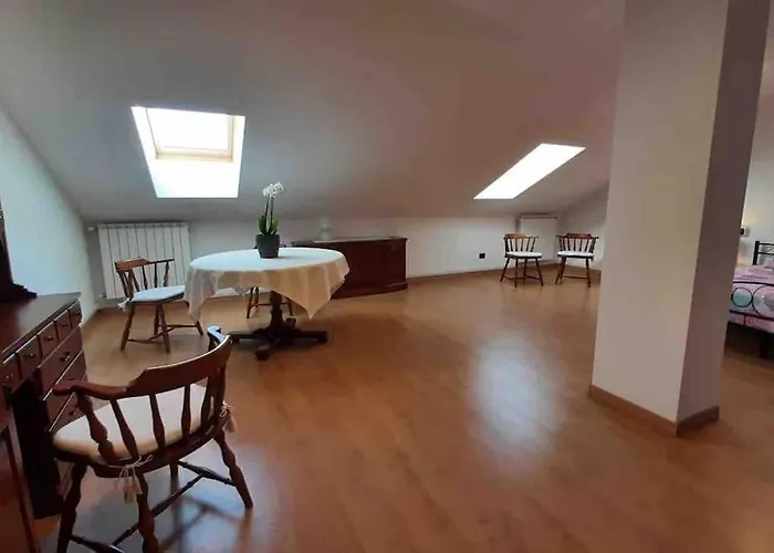 Silvia E Faby Maggiore