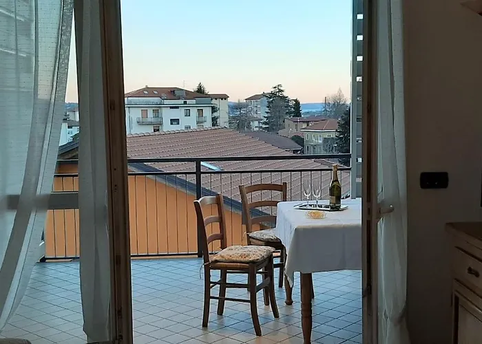 Silvia E Faby Maggiore *