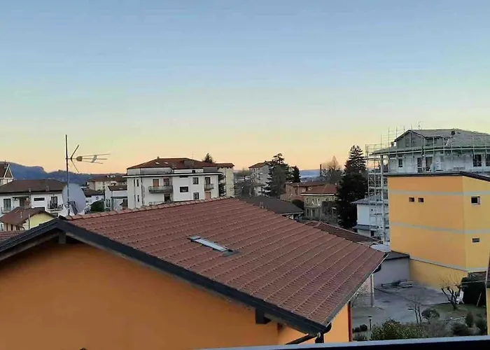 Silvia E Faby Maggiore