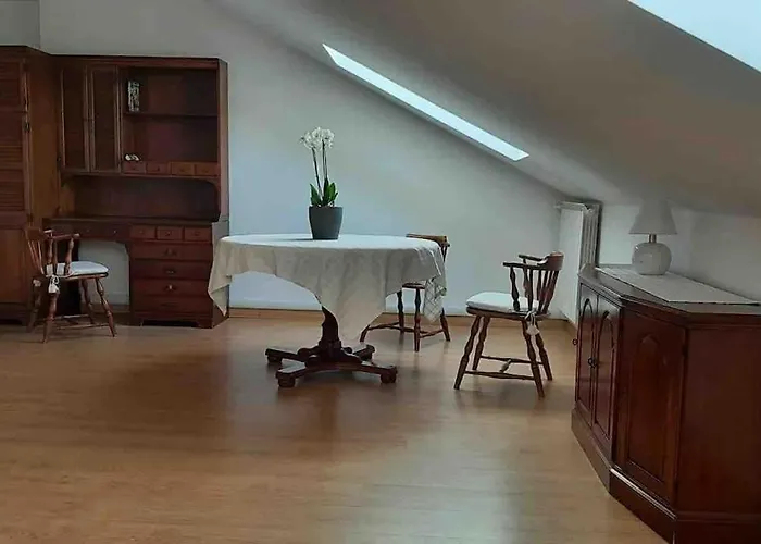 Silvia E Faby Maggiore *